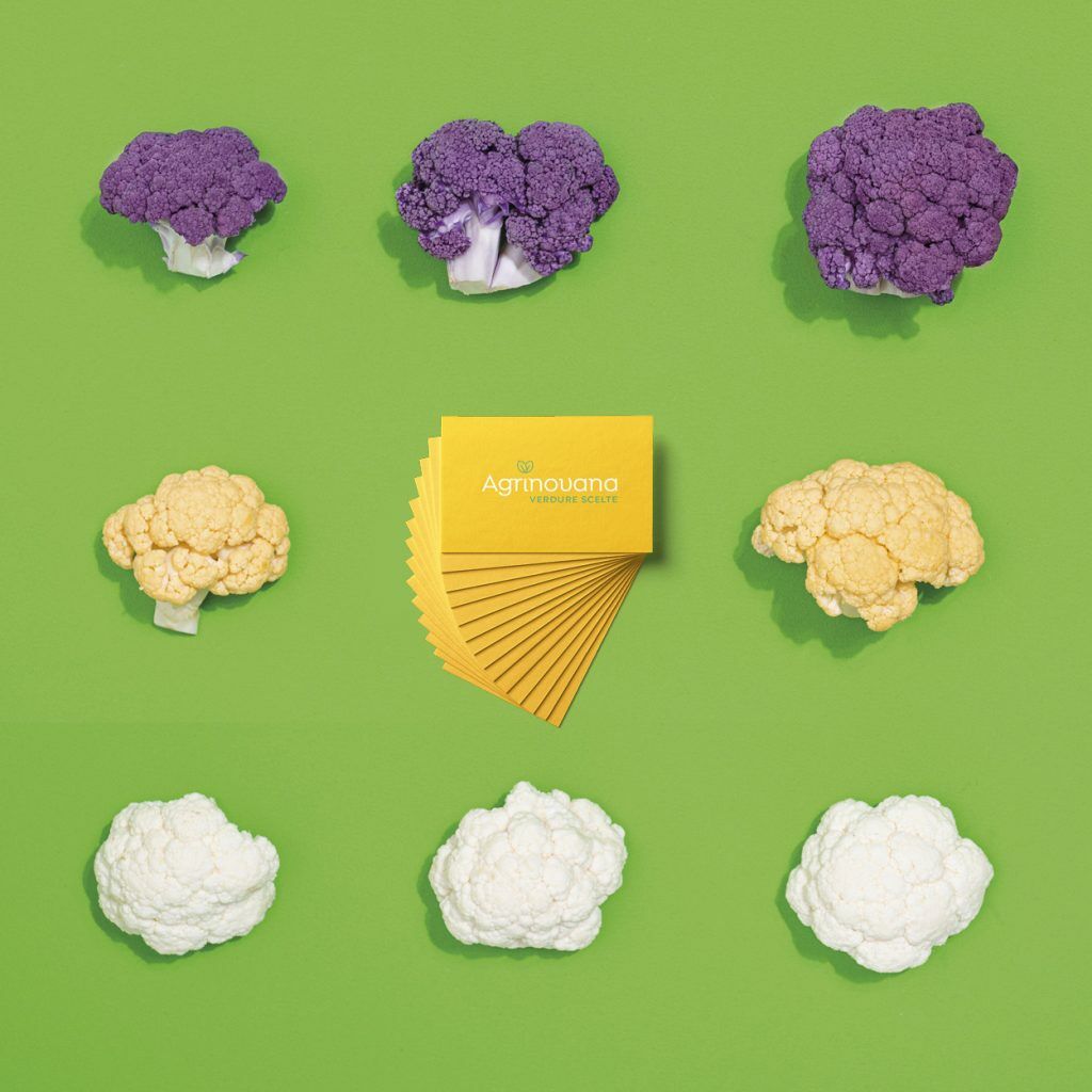 DECOstudio / Studio grafico di Branging + Packaging