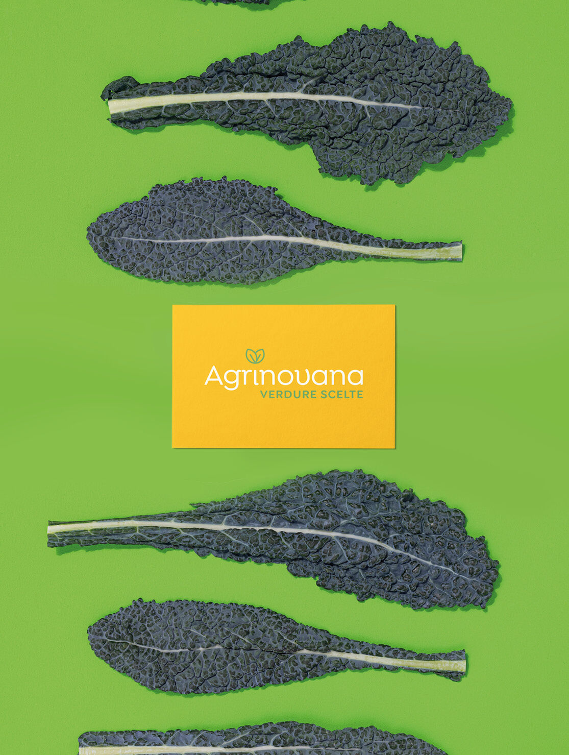DECOstudio / Studio grafico di Branging + Packaging