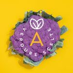 DECOstudio / Studio grafico di Branging + Packaging