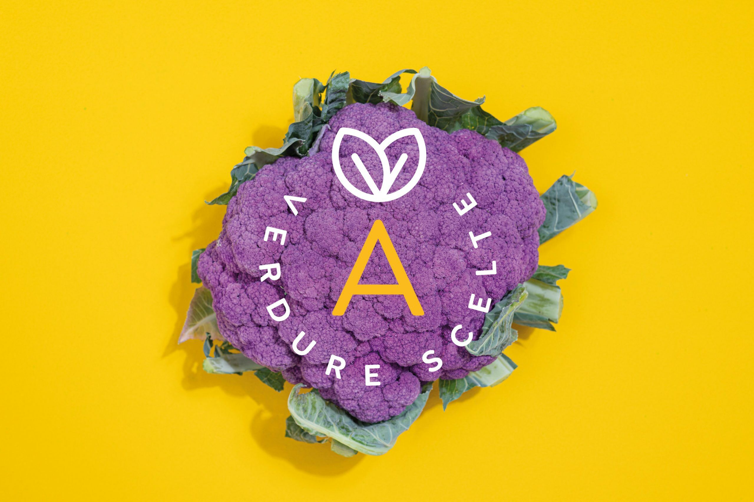 DECOstudio / Studio grafico di Branging + Packaging