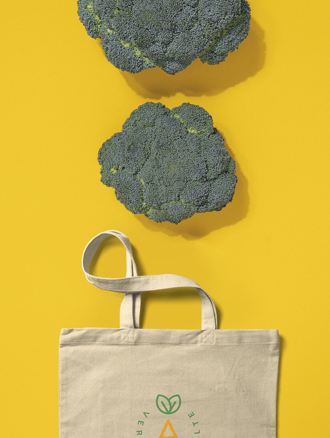 DECOstudio / Studio grafico di Branging + Packaging
