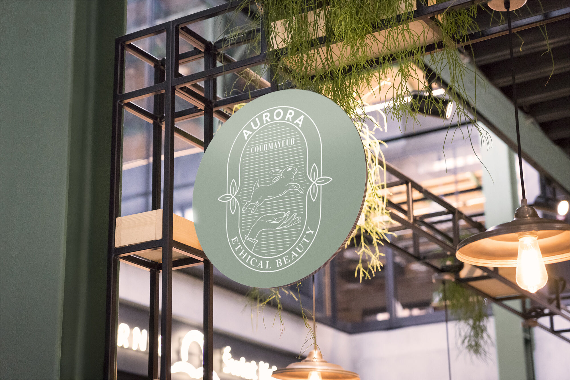 DECOstudio / Studio grafico di Branging + Packaging